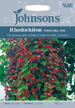 Load image into Gallery viewer, Rhodochiton Purple Bell Vine
