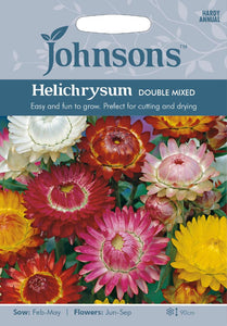 Helichrysum Double Mixed