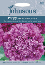Load image into Gallery viewer, Poppy Paeony Purple Passion
