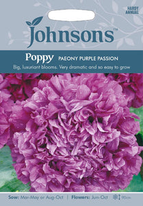 Poppy Paeony Purple Passion