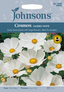 Cosmos Gazebo White