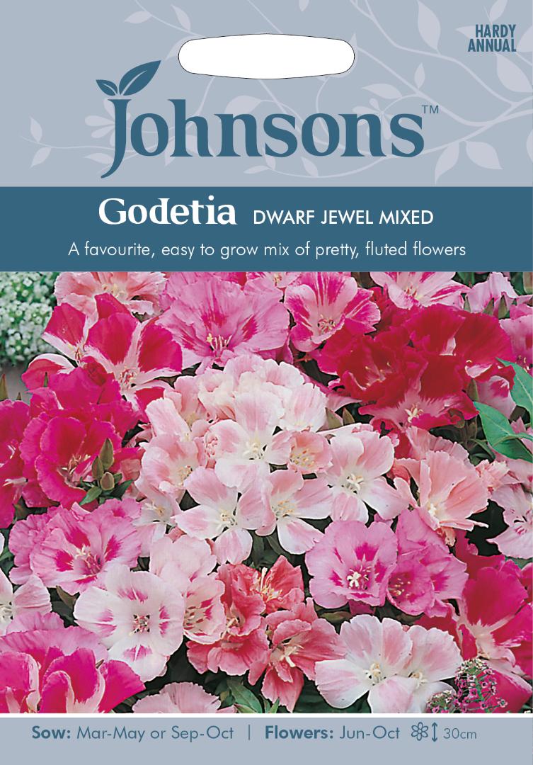 Godetia Dwarf Jewel Mixed