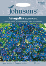 Load image into Gallery viewer, Anagallis Blue Pimpernel
