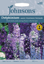 Load image into Gallery viewer, Delphinium Magic Fountains The Blues
