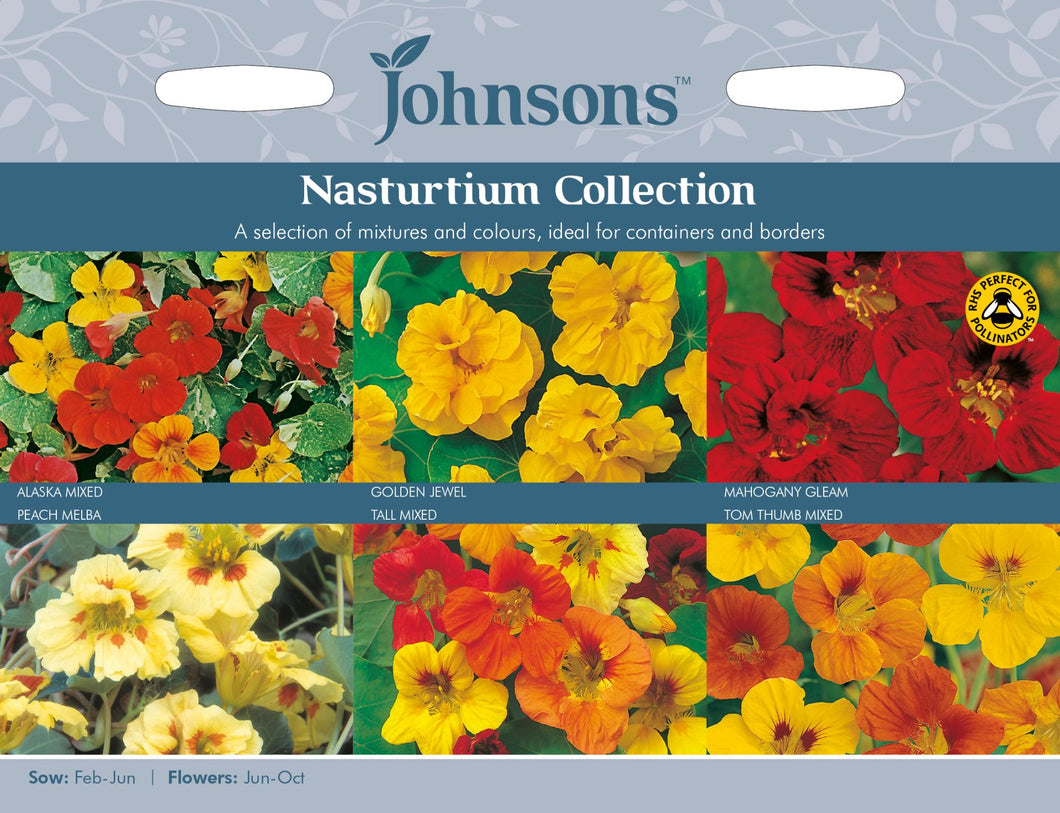 Nasturtium Collection
