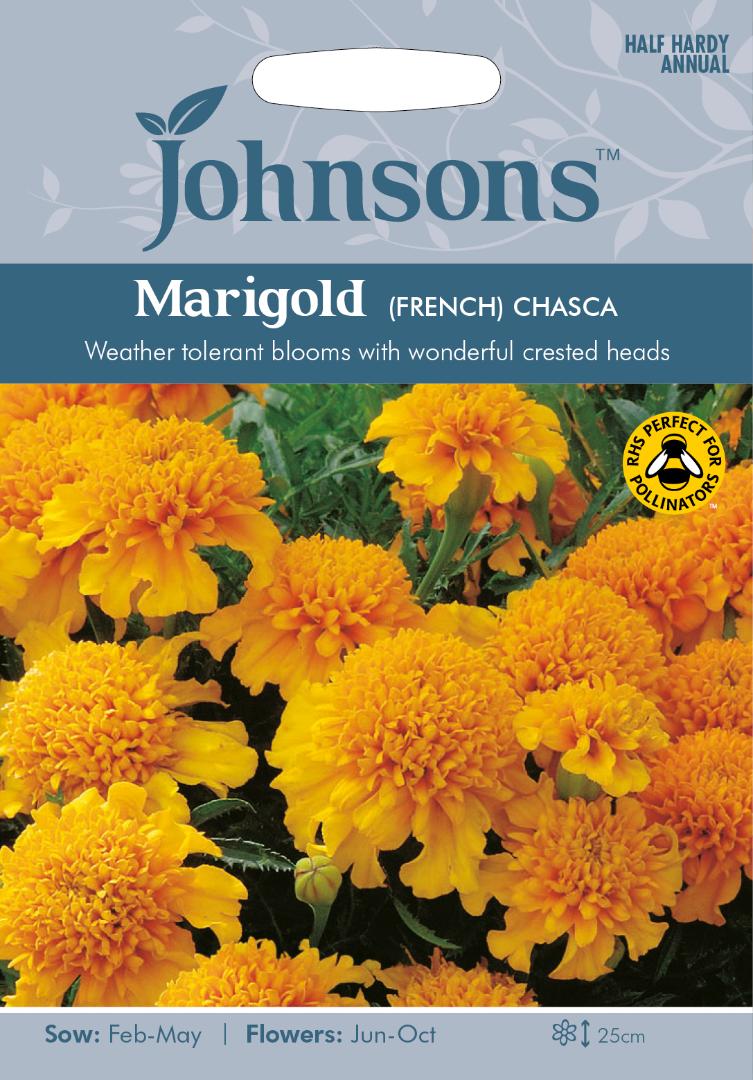 Marigold French- Chasca