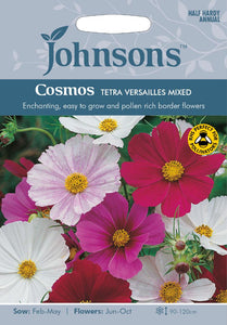 Cosmos Tetra Versailles Mixed