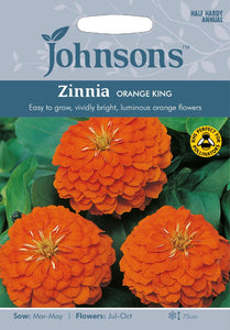 Zinnia Orange King