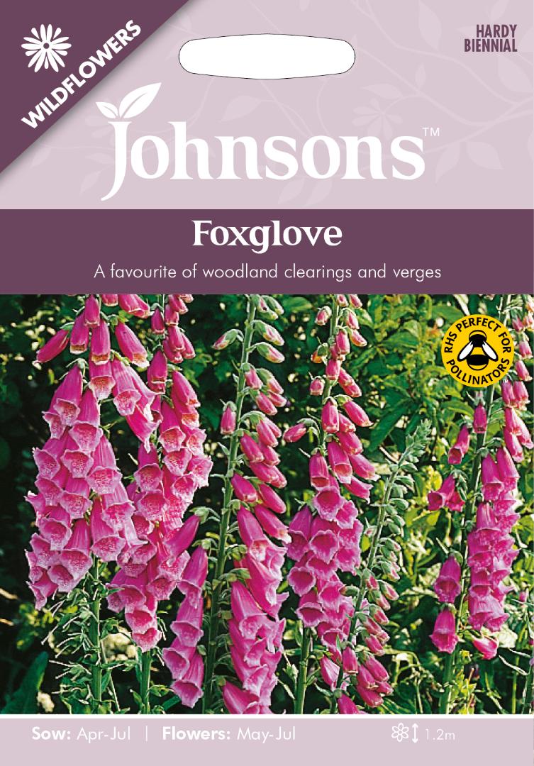 Wildflowers- Foxglove