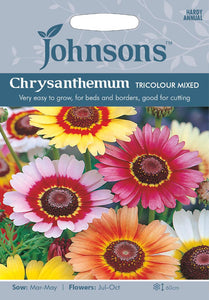 Mixed Chrysanthemum Tricolour