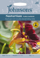 Load image into Gallery viewer, Nasturtium Purple Emperor
