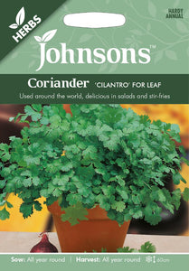 Coriander 'Cilantro' for Leaf