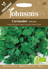 Load image into Gallery viewer, Coriander &#39;Cilantro&#39; for Leaf- Organic
