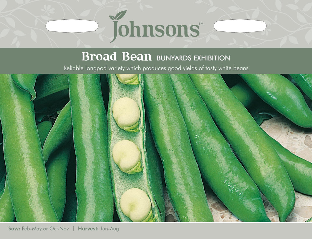 Broad Bean- Bunyards Exhibition