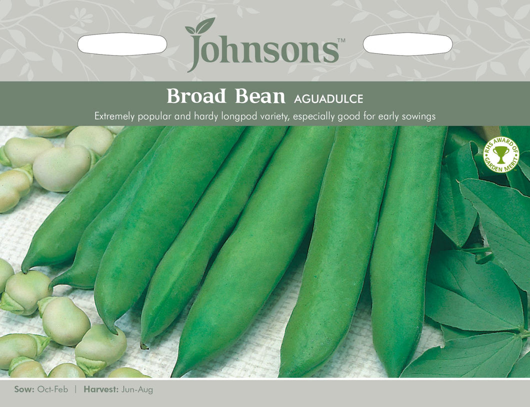 Broad Bean- Aguadulce