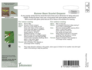 Runner Bean- Scarlet Emperor