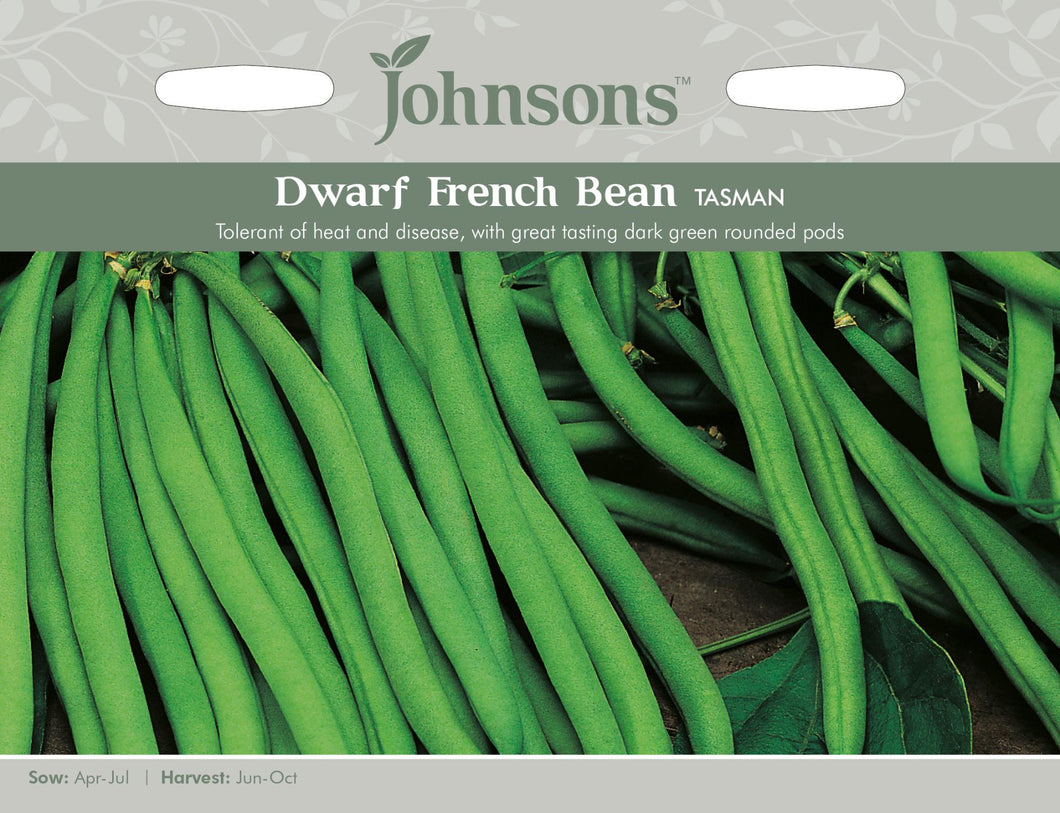 French Bean (Dwarf)- Tasman