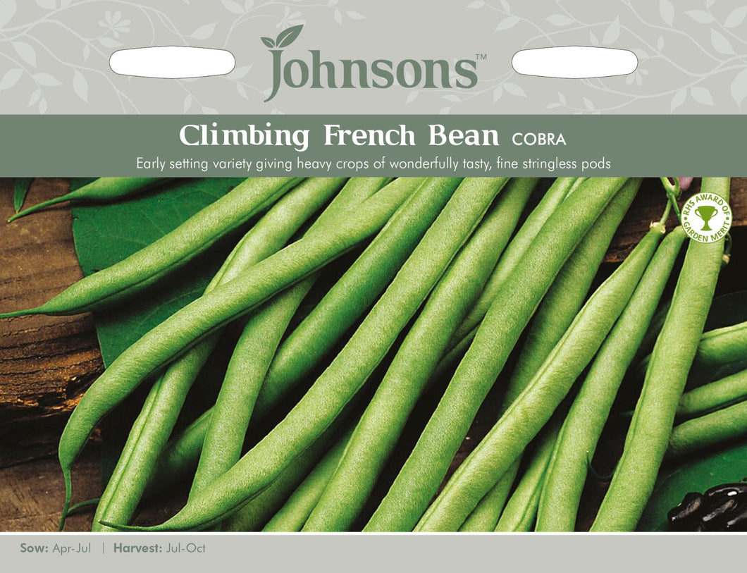 French Bean (Climbing)- Cobra