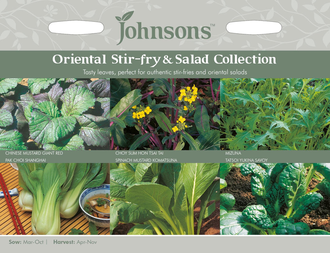 Oriental Stir Fry & Salad Collection