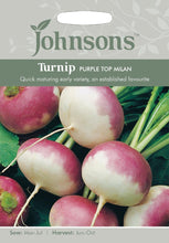 Load image into Gallery viewer, Turnip- Purple Top Milan
