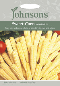 Sweet Corn- Minipop