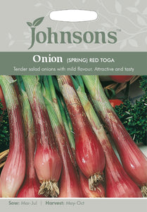 Spring Onion- Red Toga
