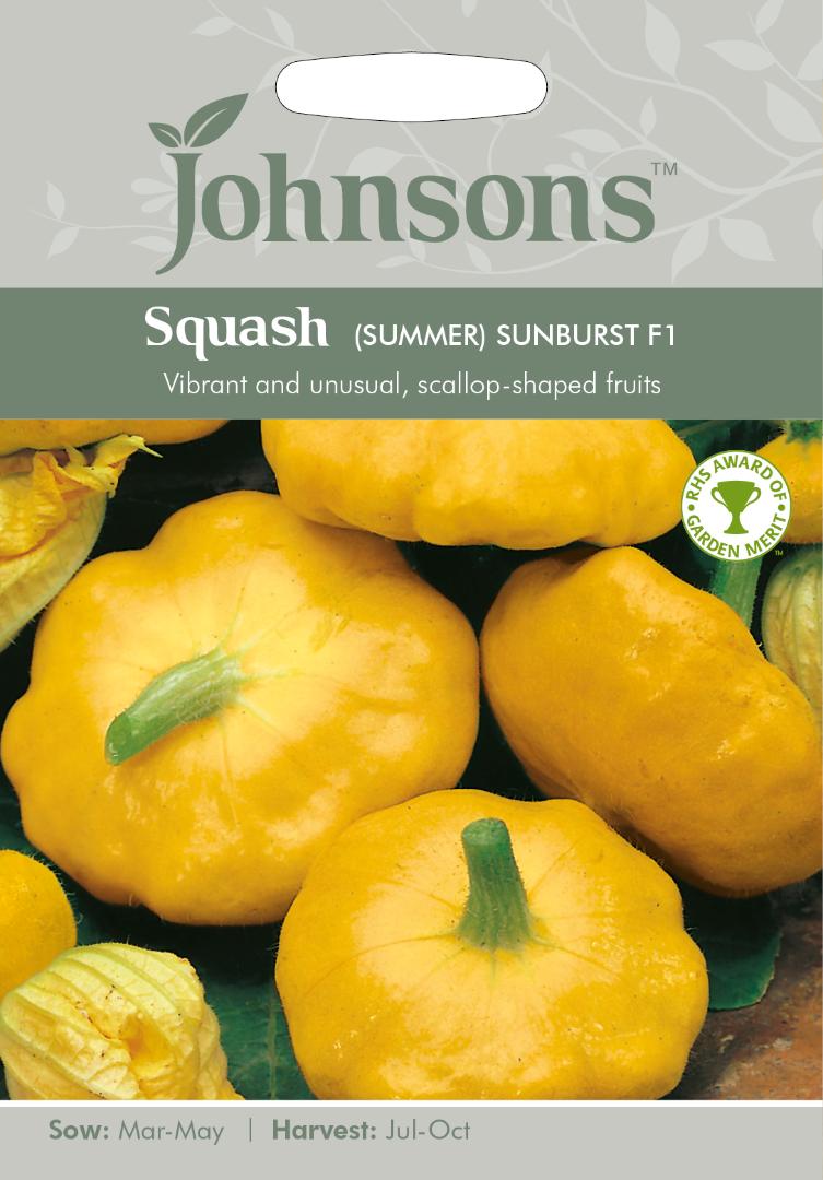 Squash (Summer)- Sunburst