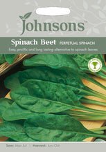 Load image into Gallery viewer, Spinach Beet- Perpetual Spinach
