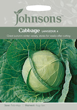 Load image into Gallery viewer, Cabbage Langedijk 4
