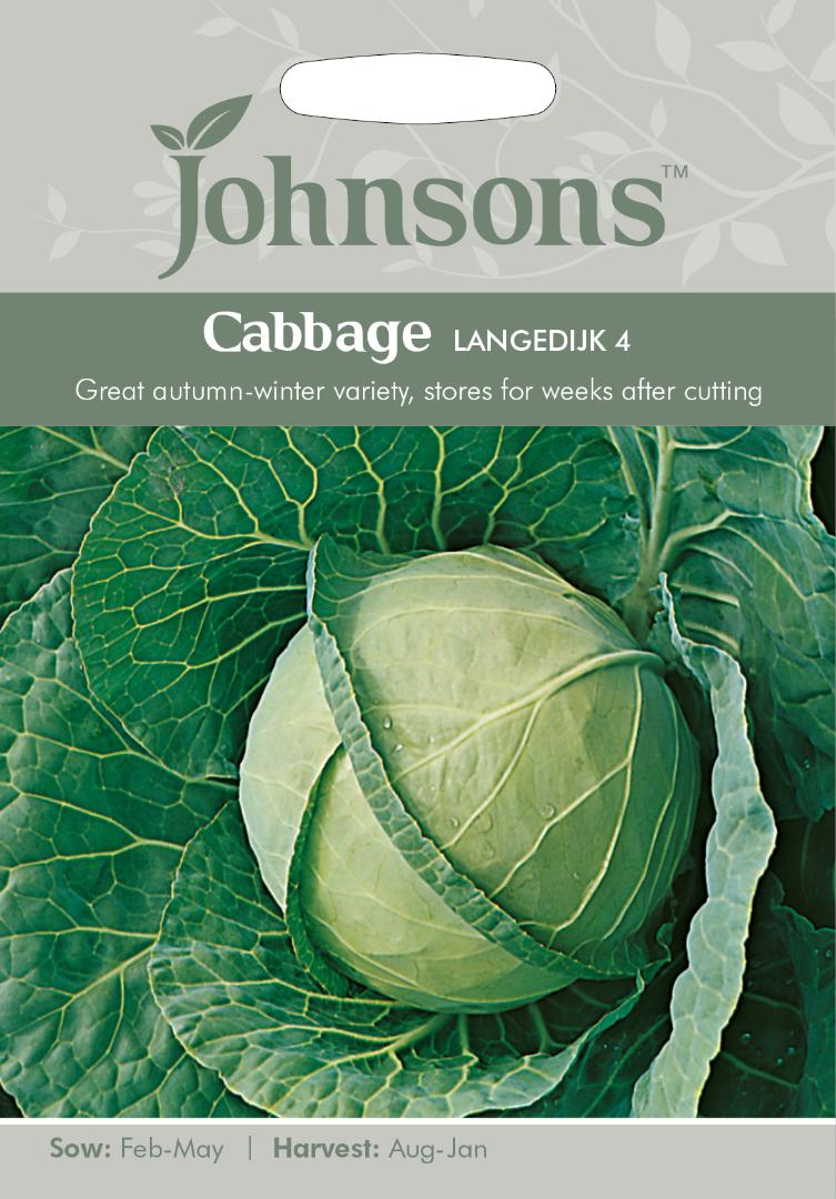 Cabbage Langedijk 4