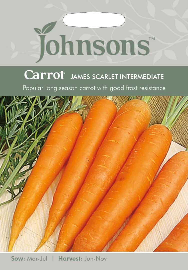 Carrot James Scarlet Intermediate