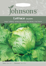 Load image into Gallery viewer, Lettuce Saladin
