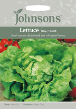 Load image into Gallery viewer, Lettuce Tom Thumb
