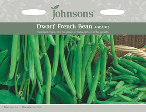 Dwarf French Bean Andante
