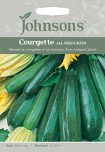 Load image into Gallery viewer, Courgette All Green Bush
