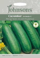 Load image into Gallery viewer, Cucumber Socrates F1
