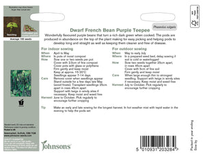 Dwarf French Bean Purple Teepee