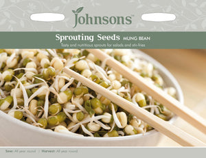 Sprouting Seeds Mung Beans