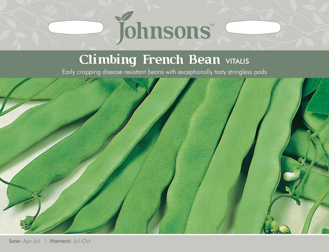 Climbing French Bean Vitalis