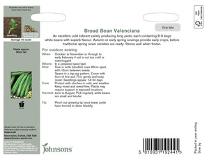 Broad Bean Valenciana