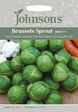 Load image into Gallery viewer, Brussels Sprout Brest F1
