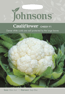 Cauliflower Cheesy F1