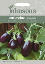 Load image into Gallery viewer, Aubergine Pot Black F1
