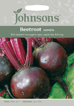 Load image into Gallery viewer, Beetroot Moneta
