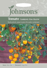 Load image into Gallery viewer, Tomato Tumbling Tom Yellow
