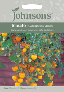 Tomato Tumbling Tom Yellow