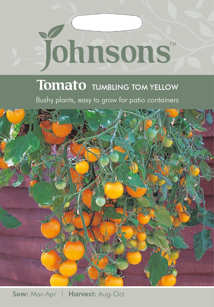 Tomato Tumbling Tom Yellow