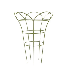 Herbaceous Basket Sage