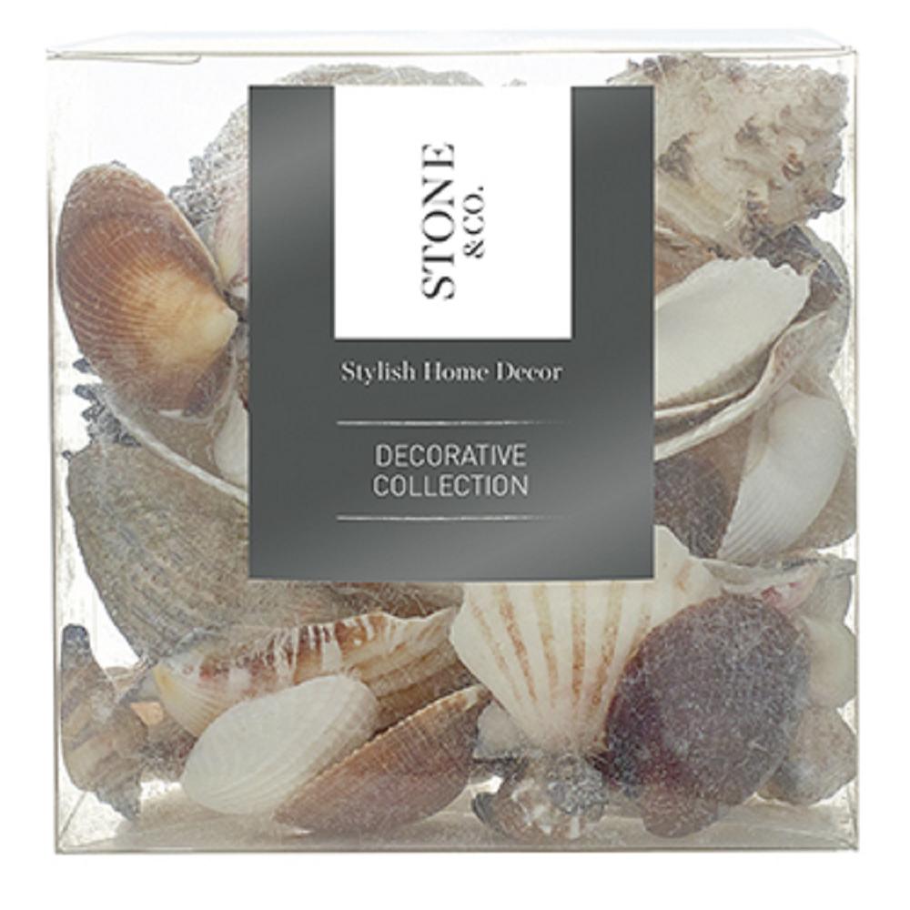 S&Co Sea Shells
