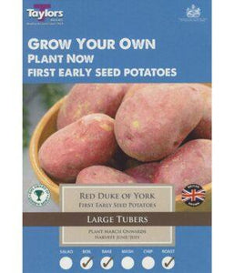 Red Duke Of York Potato Taster Pack